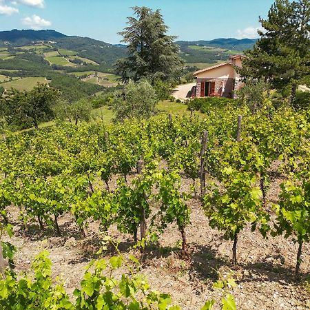Tenuta Il Poggetto Radda in Chianti Luaran gambar