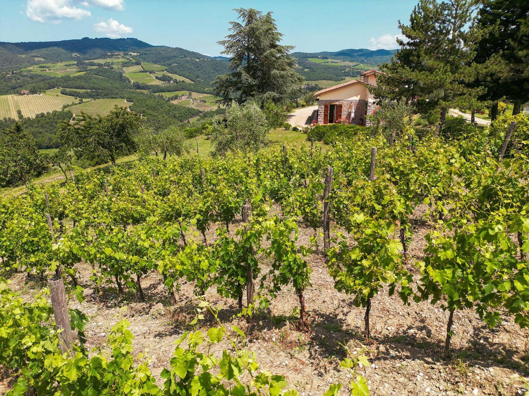 Tenuta Il Poggetto Radda in Chianti Luaran gambar