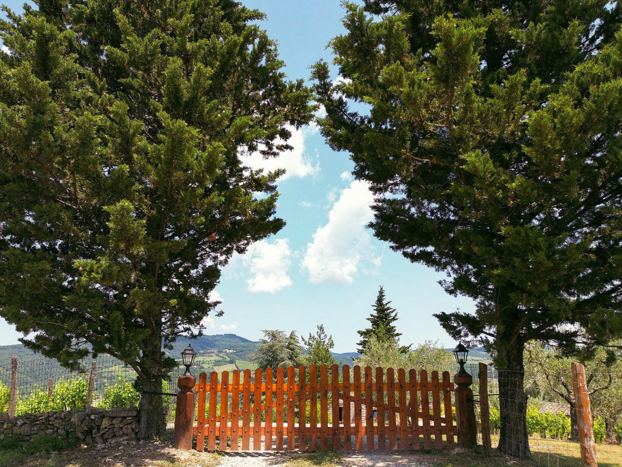 Tenuta Il Poggetto Radda in Chianti Luaran gambar