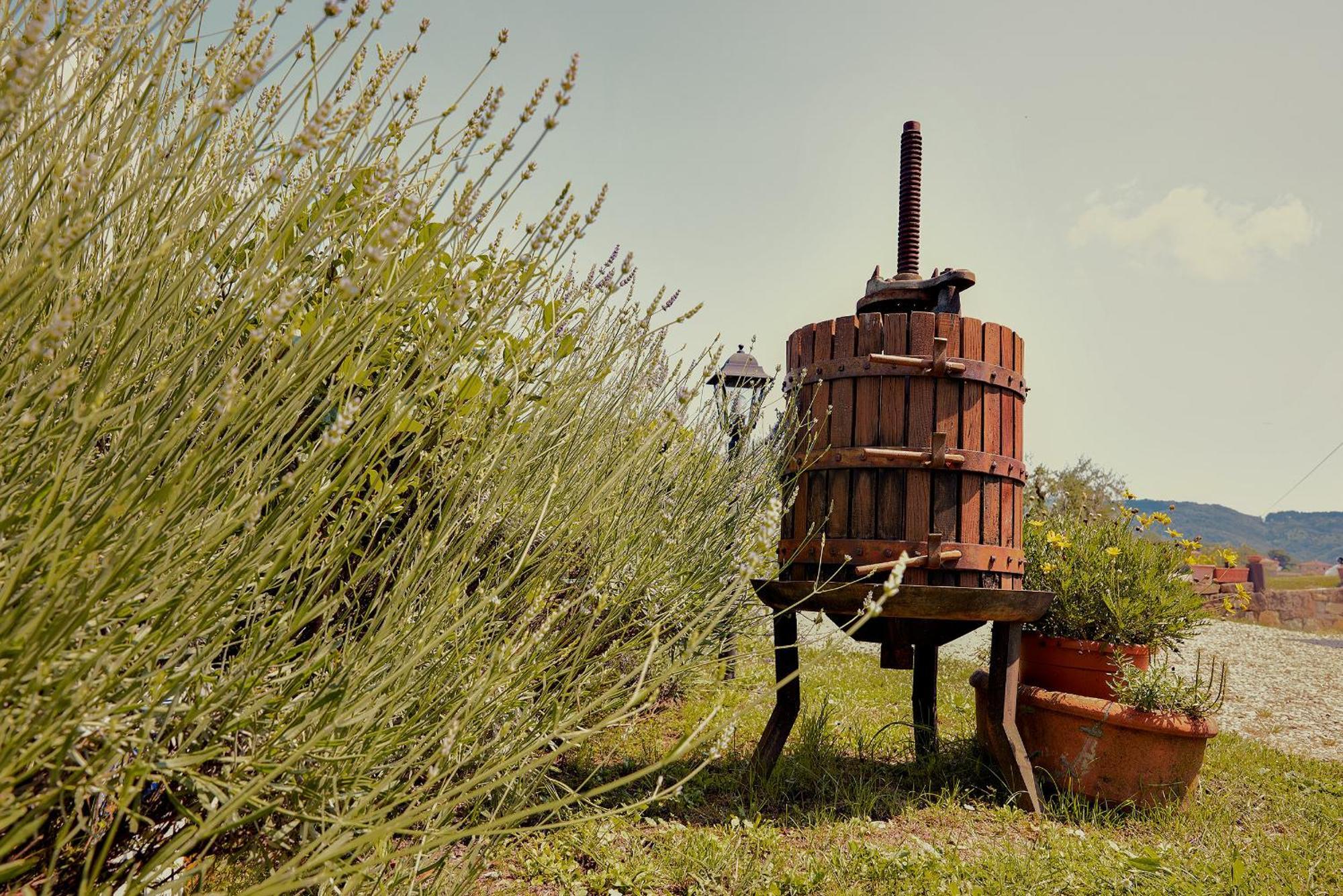 Tenuta Il Poggetto Radda in Chianti Luaran gambar