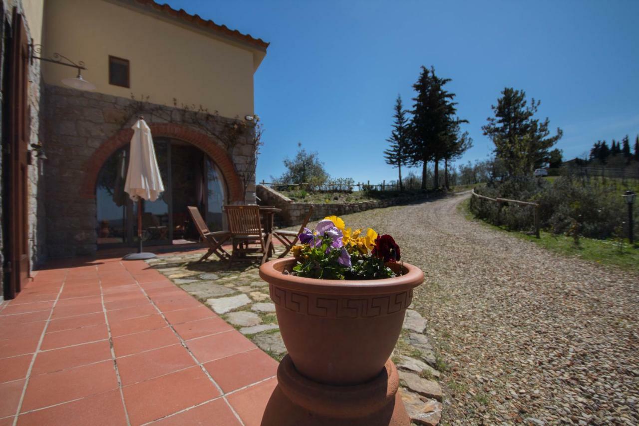 Tenuta Il Poggetto Radda in Chianti Luaran gambar