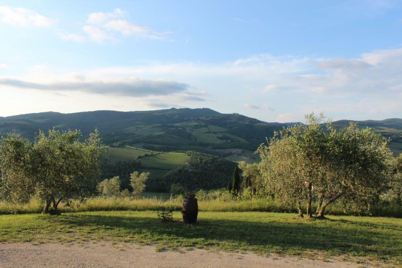 Tenuta Il Poggetto Radda in Chianti Luaran gambar